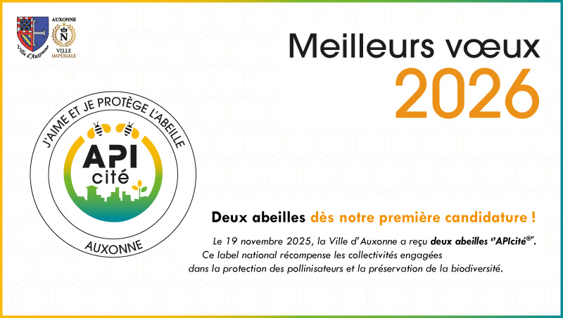 Cérémonie de vœux 2026