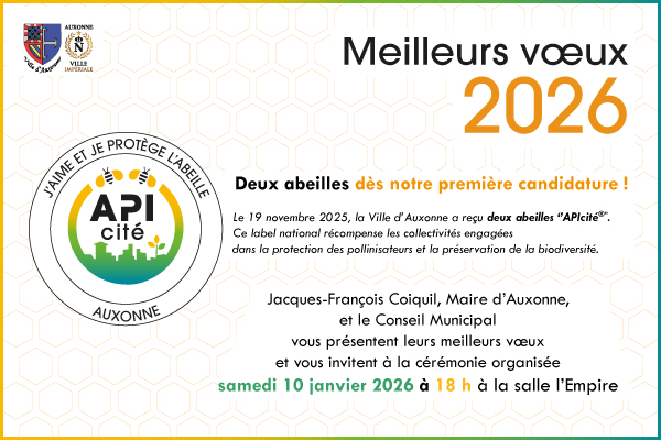 Cérémonie de vœux 2026